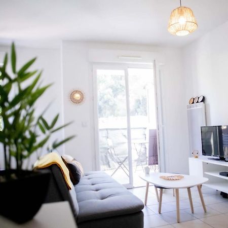 Anicesleep Superbe Appart Au Calme Et A 5 Mn De La Prom Exteriör bild